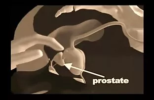 Jól működik teljes porno filmek magyarul