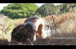 Lásd napixex a fekete harisnya